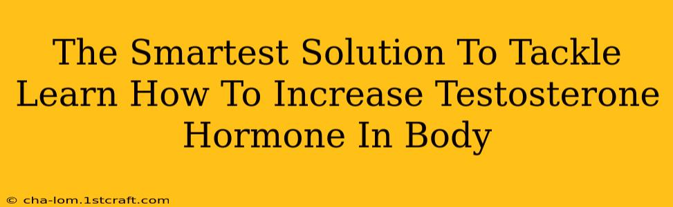 The Smartest Solution To Tackle Learn How To Increase Testosterone Hormone In Body