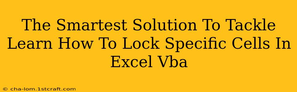 The Smartest Solution To Tackle Learn How To Lock Specific Cells In Excel Vba