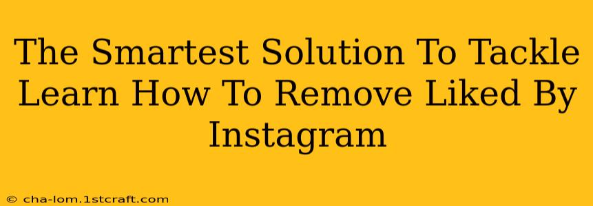 The Smartest Solution To Tackle Learn How To Remove Liked By Instagram