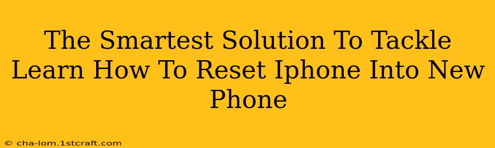 The Smartest Solution To Tackle Learn How To Reset Iphone Into New Phone