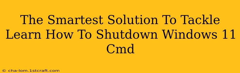 The Smartest Solution To Tackle Learn How To Shutdown Windows 11 Cmd