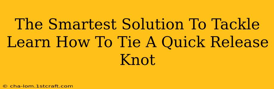 The Smartest Solution To Tackle Learn How To Tie A Quick Release Knot