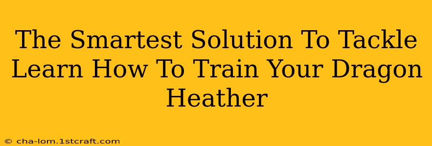 The Smartest Solution To Tackle Learn How To Train Your Dragon Heather