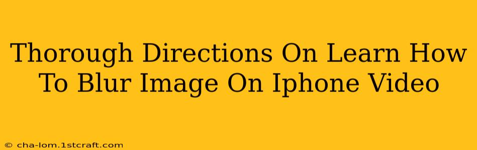 Thorough Directions On Learn How To Blur Image On Iphone Video