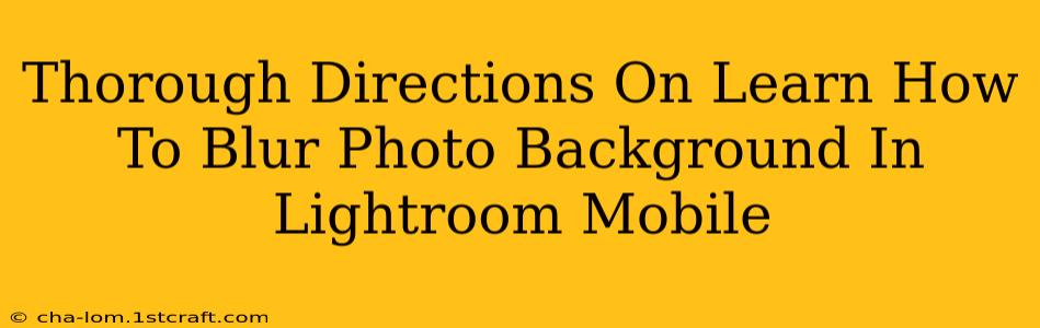 Thorough Directions On Learn How To Blur Photo Background In Lightroom Mobile