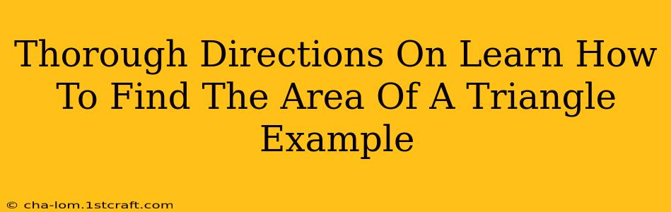 Thorough Directions On Learn How To Find The Area Of A Triangle Example