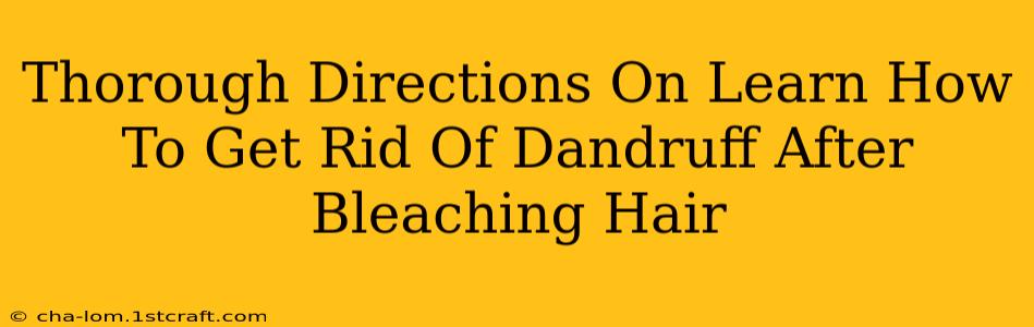 Thorough Directions On Learn How To Get Rid Of Dandruff After Bleaching Hair