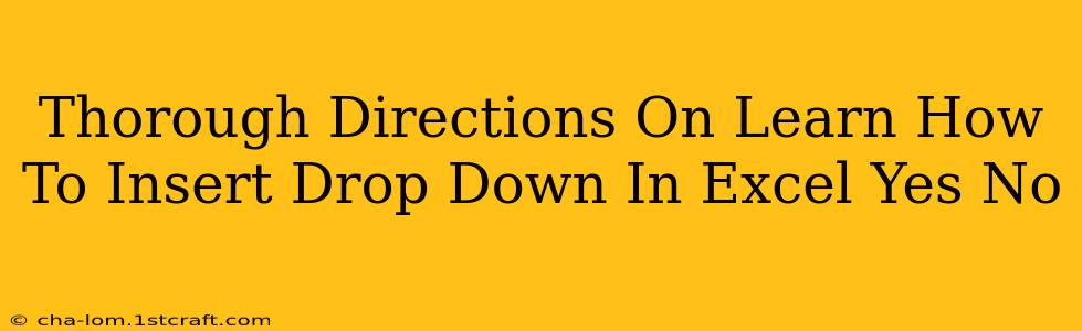 Thorough Directions On Learn How To Insert Drop Down In Excel Yes No