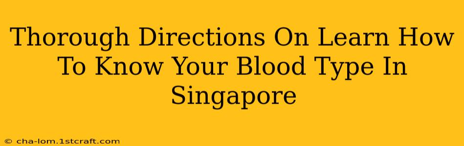 Thorough Directions On Learn How To Know Your Blood Type In Singapore