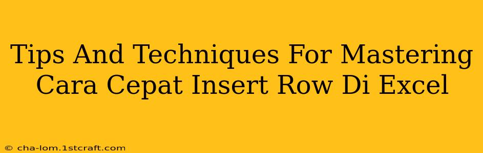 Tips And Techniques For Mastering Cara Cepat Insert Row Di Excel