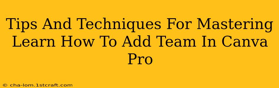 Tips And Techniques For Mastering Learn How To Add Team In Canva Pro