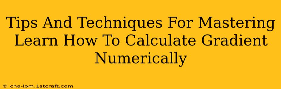 Tips And Techniques For Mastering Learn How To Calculate Gradient Numerically