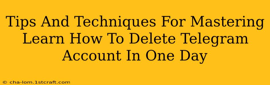 Tips And Techniques For Mastering Learn How To Delete Telegram Account In One Day
