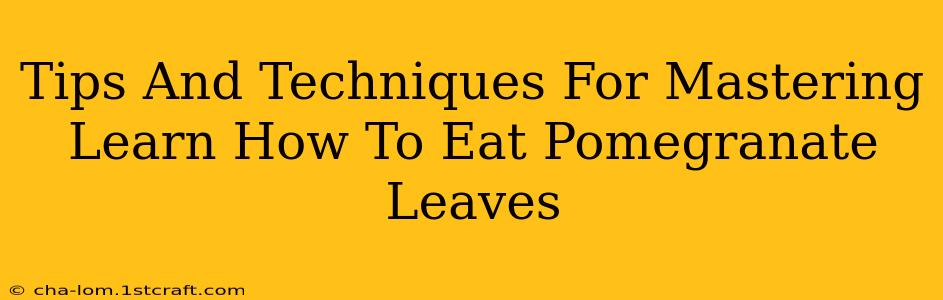 Tips And Techniques For Mastering Learn How To Eat Pomegranate Leaves