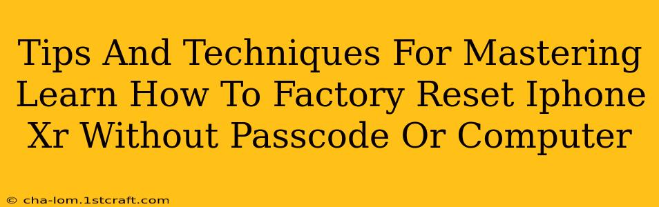 Tips And Techniques For Mastering Learn How To Factory Reset Iphone Xr Without Passcode Or Computer