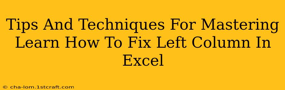 Tips And Techniques For Mastering Learn How To Fix Left Column In Excel