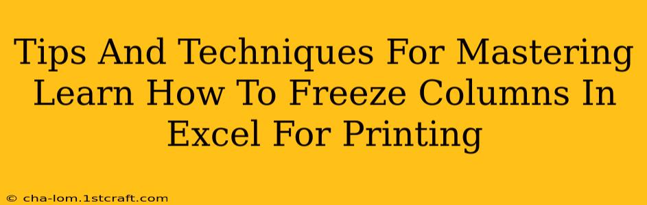 Tips And Techniques For Mastering Learn How To Freeze Columns In Excel For Printing