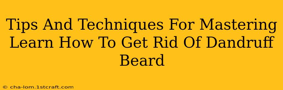 Tips And Techniques For Mastering Learn How To Get Rid Of Dandruff Beard