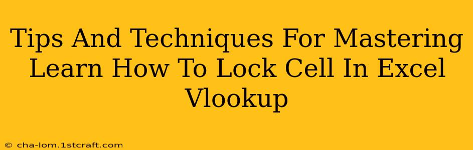 Tips And Techniques For Mastering Learn How To Lock Cell In Excel Vlookup