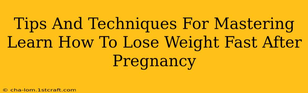 Tips And Techniques For Mastering Learn How To Lose Weight Fast After Pregnancy