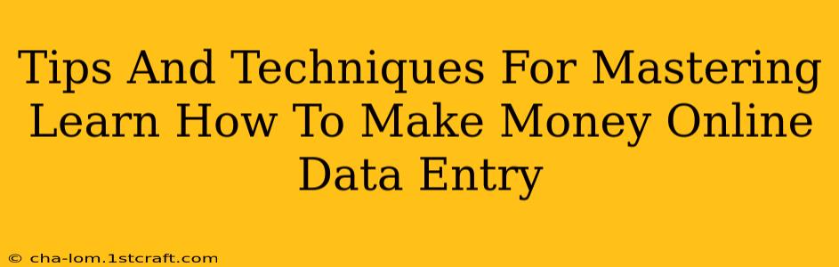 Tips And Techniques For Mastering Learn How To Make Money Online Data Entry