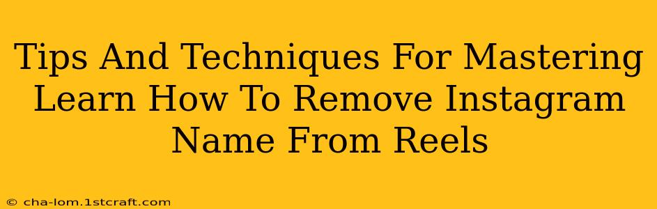 Tips And Techniques For Mastering Learn How To Remove Instagram Name From Reels