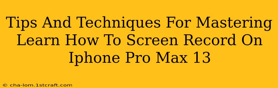 Tips And Techniques For Mastering Learn How To Screen Record On Iphone Pro Max 13