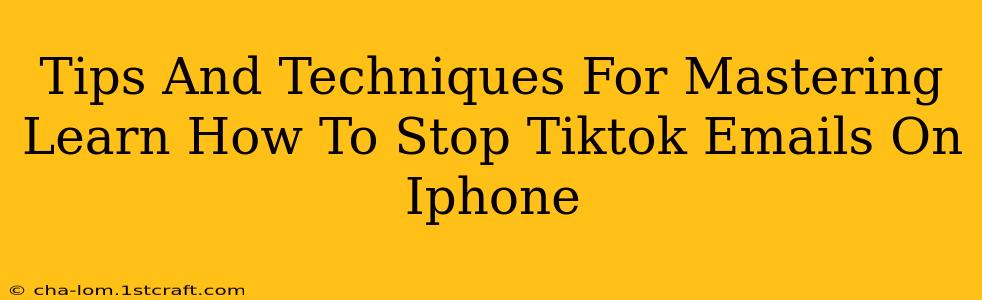 Tips And Techniques For Mastering Learn How To Stop Tiktok Emails On Iphone