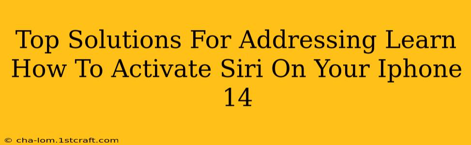 Top Solutions For Addressing Learn How To Activate Siri On Your Iphone 14