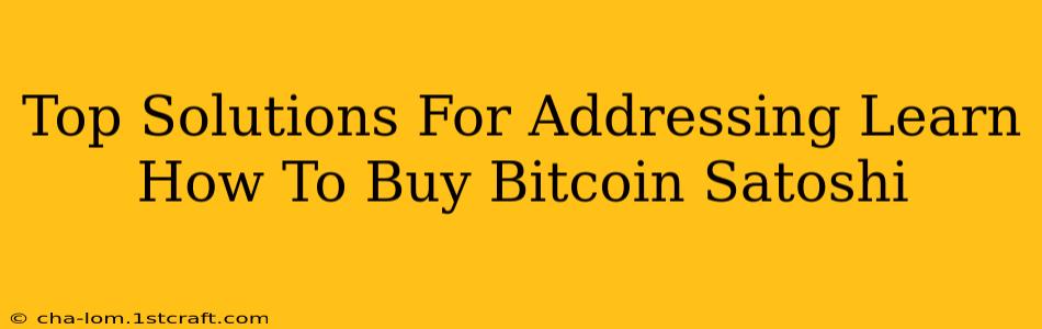 Top Solutions For Addressing Learn How To Buy Bitcoin Satoshi