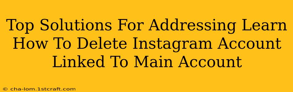 Top Solutions For Addressing Learn How To Delete Instagram Account Linked To Main Account