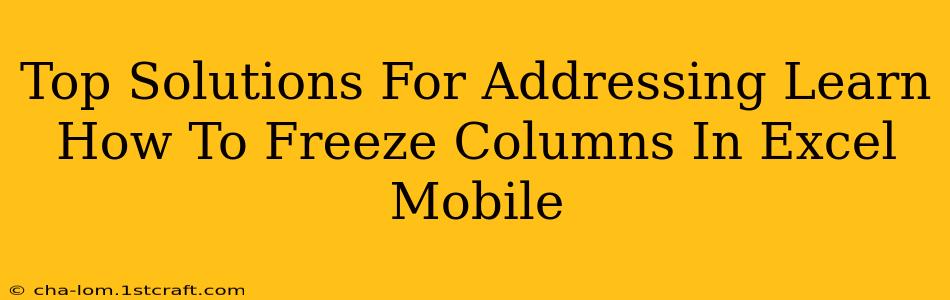 Top Solutions For Addressing Learn How To Freeze Columns In Excel Mobile