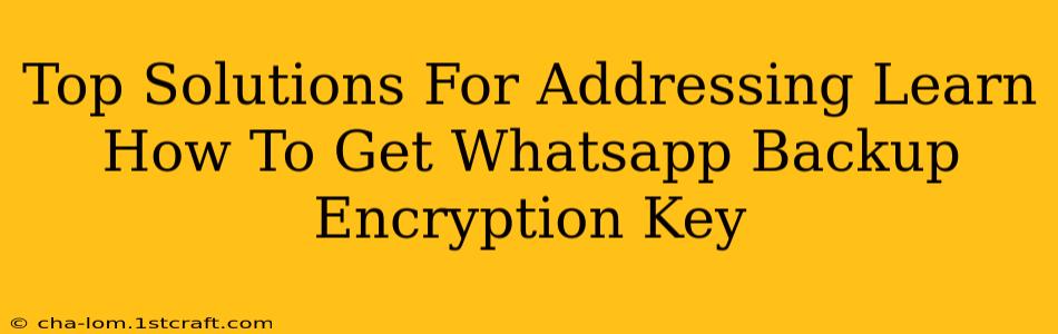 Top Solutions For Addressing Learn How To Get Whatsapp Backup Encryption Key