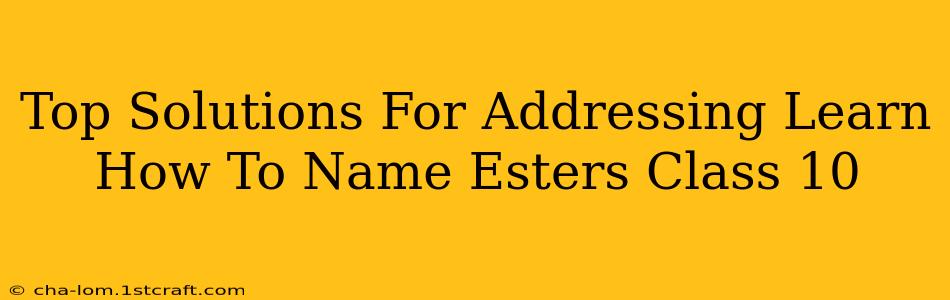 Top Solutions For Addressing Learn How To Name Esters Class 10