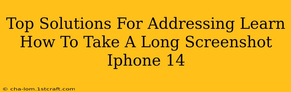 Top Solutions For Addressing Learn How To Take A Long Screenshot Iphone 14