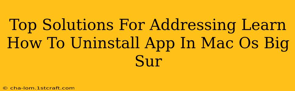 Top Solutions For Addressing Learn How To Uninstall App In Mac Os Big Sur