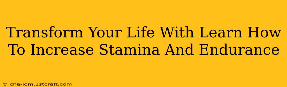 Transform Your Life With Learn How To Increase Stamina And Endurance