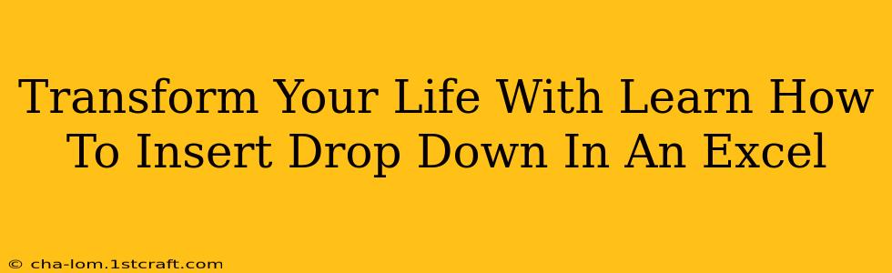 Transform Your Life With Learn How To Insert Drop Down In An Excel