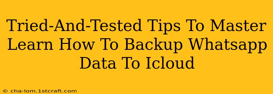 Tried-And-Tested Tips To Master Learn How To Backup Whatsapp Data To Icloud