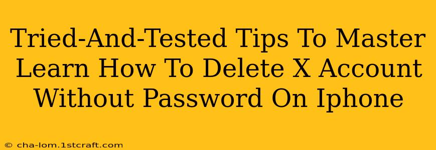 Tried-And-Tested Tips To Master Learn How To Delete X Account Without Password On Iphone