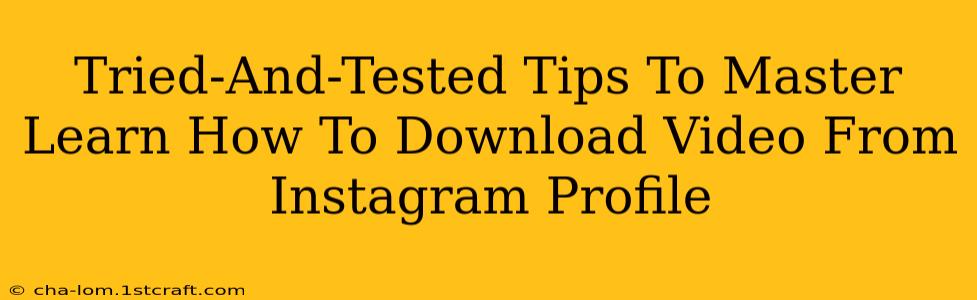 Tried-And-Tested Tips To Master Learn How To Download Video From Instagram Profile