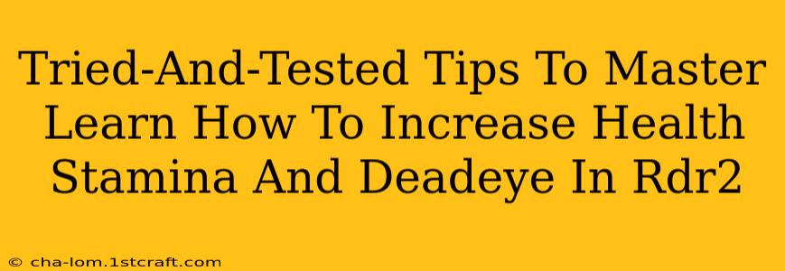 Tried-And-Tested Tips To Master Learn How To Increase Health Stamina And Deadeye In Rdr2