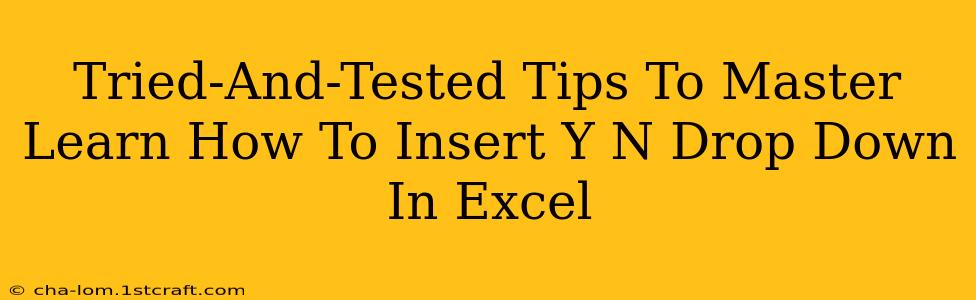 Tried-And-Tested Tips To Master Learn How To Insert Y N Drop Down In Excel