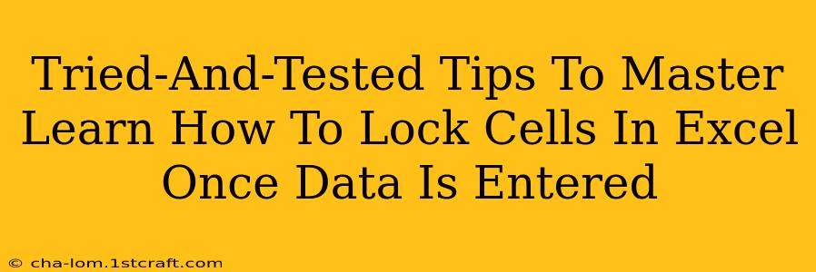 Tried-And-Tested Tips To Master Learn How To Lock Cells In Excel Once Data Is Entered