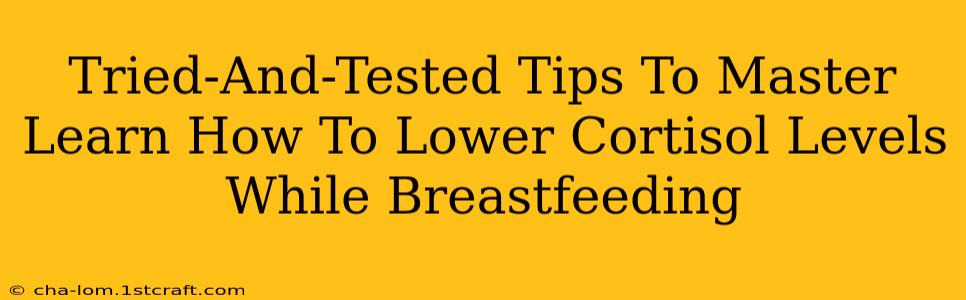 Tried-And-Tested Tips To Master Learn How To Lower Cortisol Levels While Breastfeeding