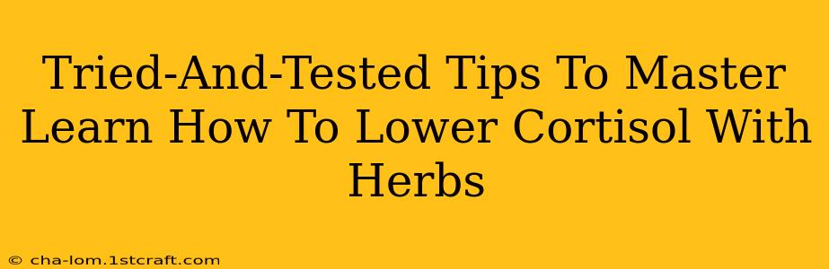 Tried-And-Tested Tips To Master Learn How To Lower Cortisol With Herbs