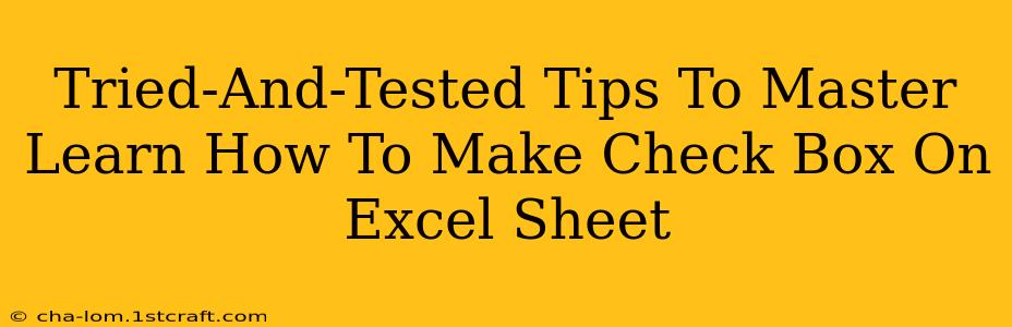 Tried-And-Tested Tips To Master Learn How To Make Check Box On Excel Sheet