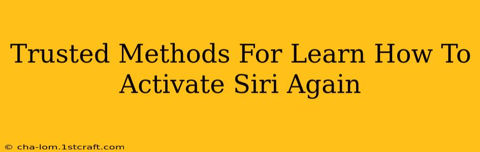 Trusted Methods For Learn How To Activate Siri Again