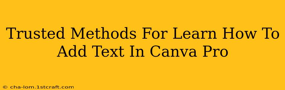 Trusted Methods For Learn How To Add Text In Canva Pro