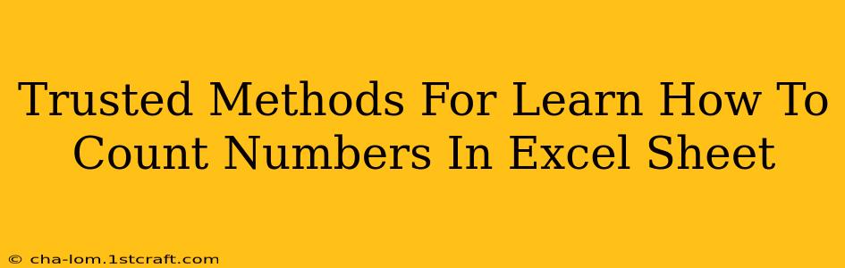 Trusted Methods For Learn How To Count Numbers In Excel Sheet